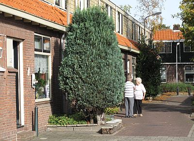 20091009_Zaanstad-Havenbuurt-Paalrot-3