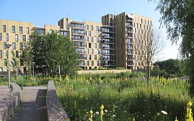 20130708 Vlaardingen-Babberpolder3